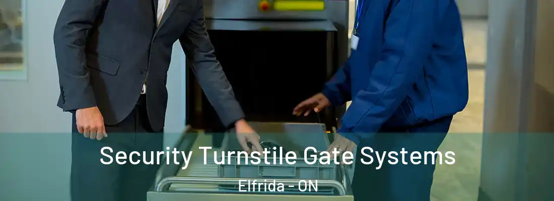  Security Turnstile Gate Systems Elfrida - ON