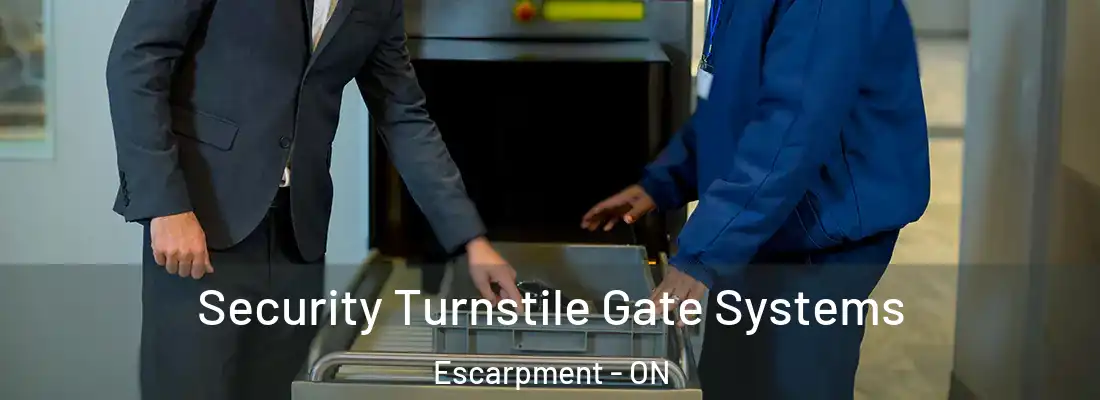  Security Turnstile Gate Systems Escarpment - ON