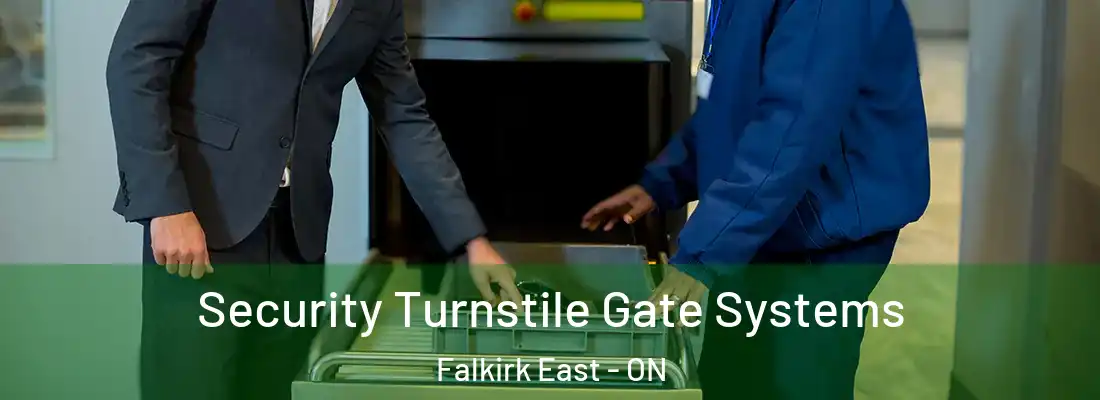  Security Turnstile Gate Systems Falkirk East - ON