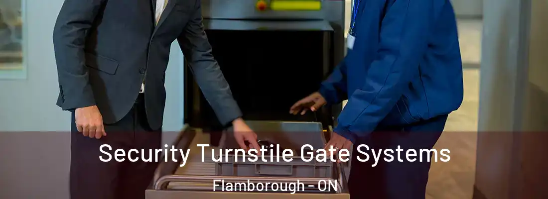  Security Turnstile Gate Systems Flamborough - ON