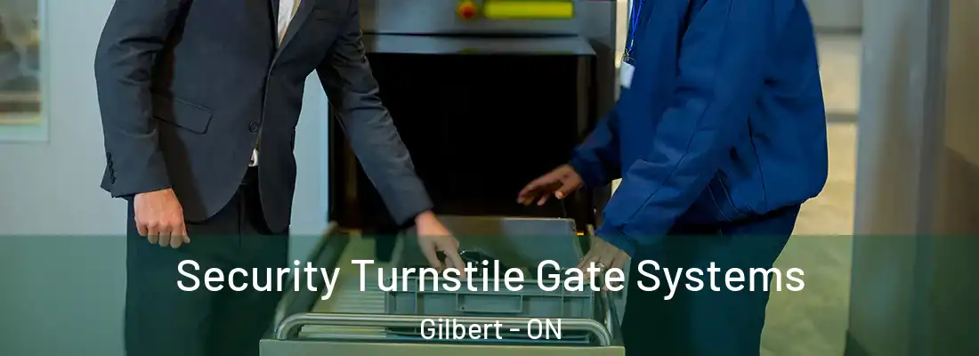  Security Turnstile Gate Systems Gilbert - ON