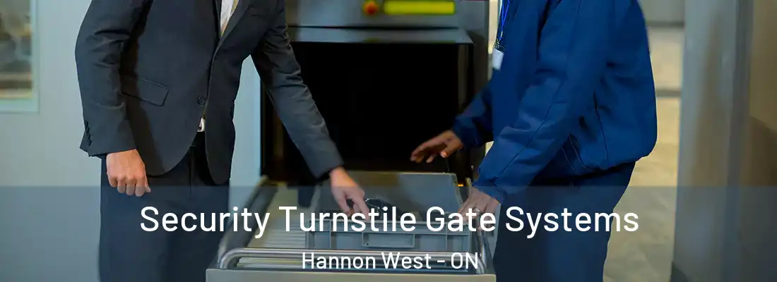  Security Turnstile Gate Systems Hannon West - ON