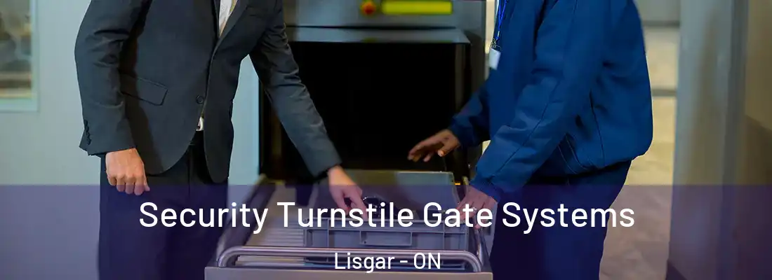  Security Turnstile Gate Systems Lisgar - ON