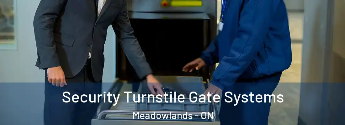  Security Turnstile Gate Systems Meadowlands - ON