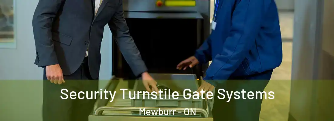  Security Turnstile Gate Systems Mewburr - ON