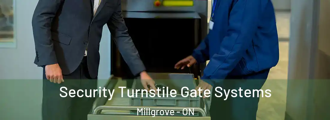  Security Turnstile Gate Systems Millgrove - ON