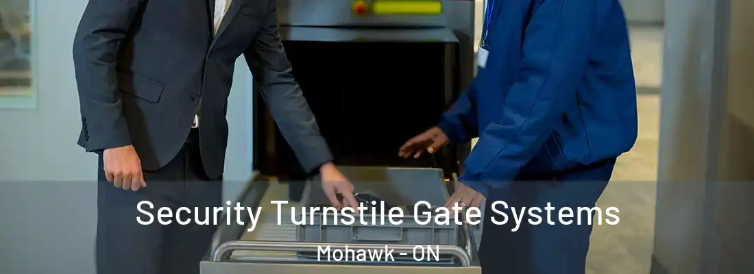 Security Turnstile Gate Systems Mohawk - ON