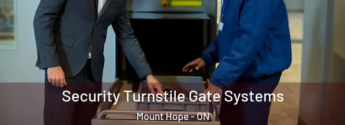  Security Turnstile Gate Systems Mount Hope - ON