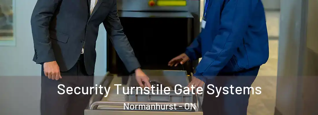  Security Turnstile Gate Systems Normanhurst - ON