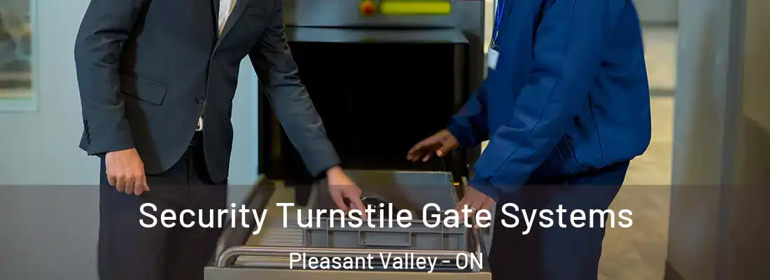  Security Turnstile Gate Systems Pleasant Valley - ON