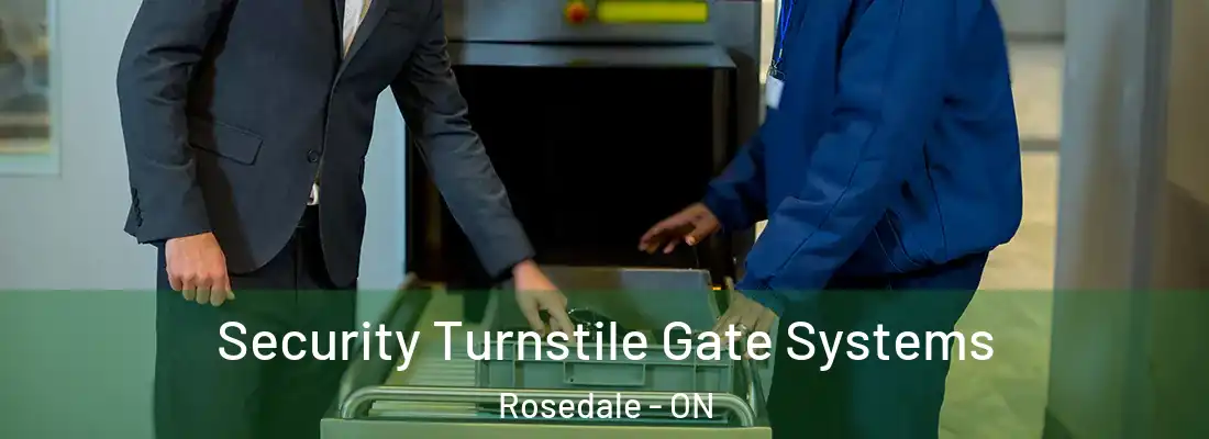  Security Turnstile Gate Systems Rosedale - ON