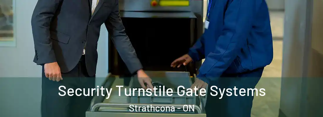  Security Turnstile Gate Systems Strathcona - ON
