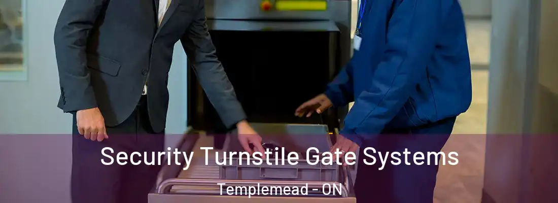  Security Turnstile Gate Systems Templemead - ON