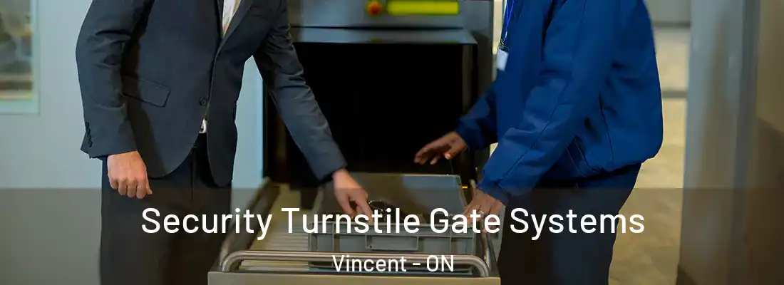  Security Turnstile Gate Systems Vincent - ON