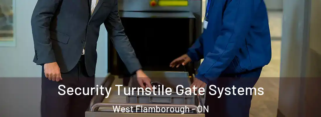  Security Turnstile Gate Systems West Flamborough - ON