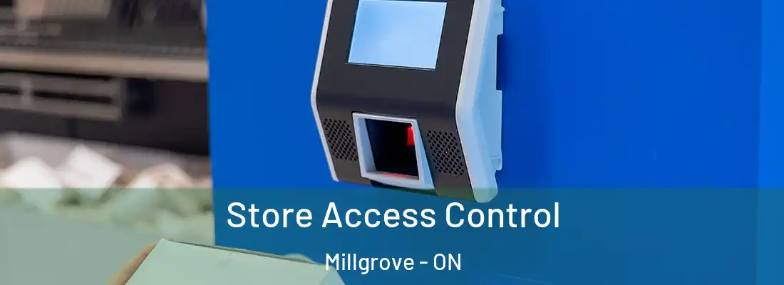  Store Access Control Millgrove - ON