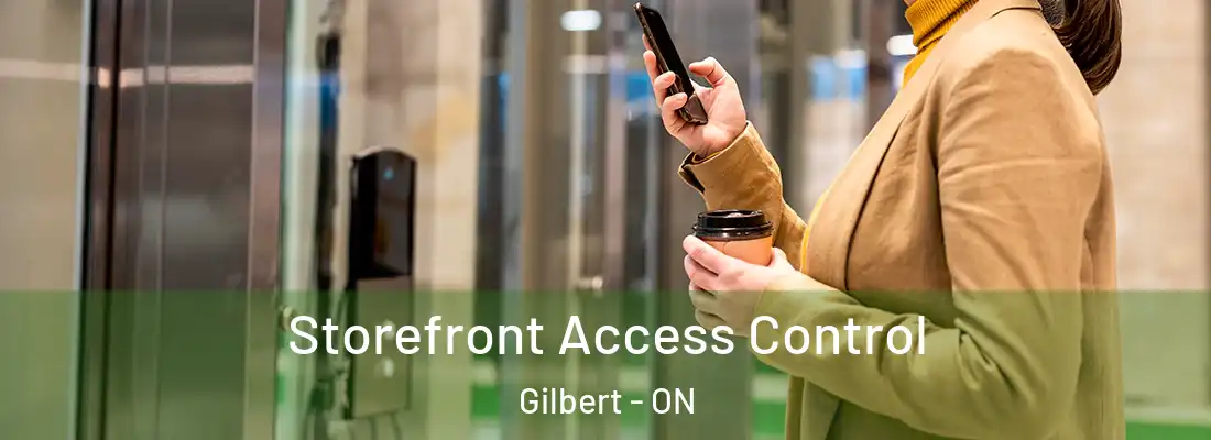  Storefront Access Control Gilbert - ON