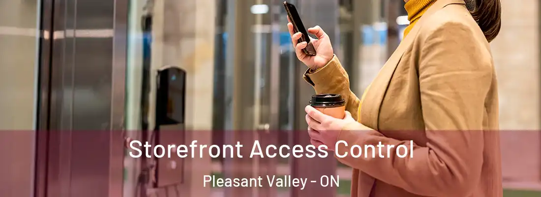  Storefront Access Control Pleasant Valley - ON