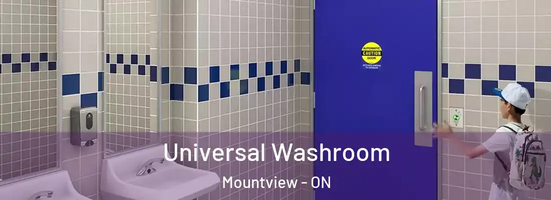  Universal Washroom Mountview - ON