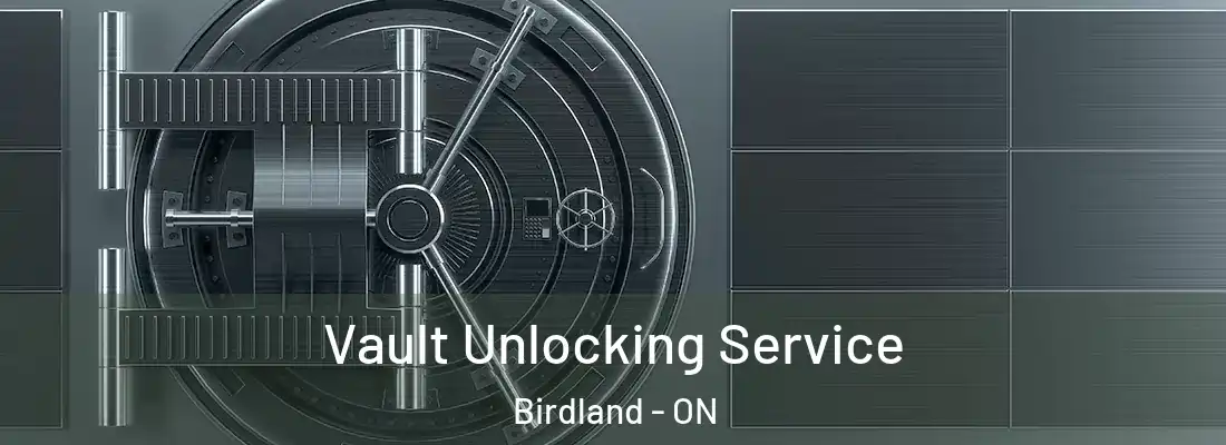  Vault Unlocking Service Birdland - ON
