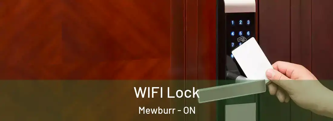  WIFI Lock Mewburr - ON
