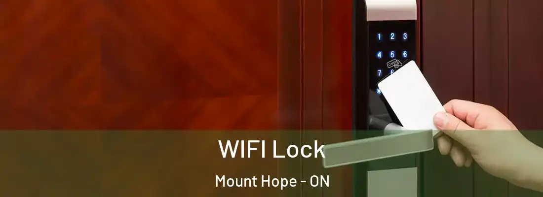  WIFI Lock Mount Hope - ON